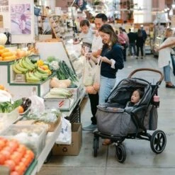 Larktale Sprout Single-to-Double Stroller/Wagon - Expandable And Foldable Stroller Wagon With Canopy, Storage, And Accessories - Nightcliff Stone 15 Larktale Sprout Single-to-Double Stroller/Wagon - Expandable And Foldable Stroller Wagon With Canopy, Storage, And Accessories - Nightcliff Stone -Baby Trend Store GUEST 483f195b e267 40ca 8807 c20c3f2838dd