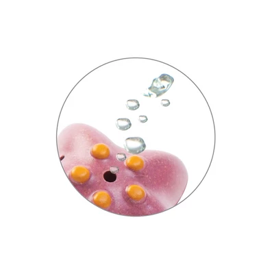 Plantoys| Sea Life Bath Set 5 Plantoys| Sea Life Bath Set - Image 3
