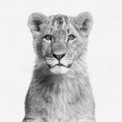 Black And White Nursery Safari - 4 Piece Framed Gallery Wall Set - Americanflat With Mat -Baby Trend Store GUEST 710eec6d b866 4e9f a3eb 5ca77fcf531c