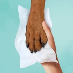 Pampers® Pampers Multi-Use Baby Wipes (Select Count) -Baby Trend Store GUEST ae3c826e 8f46 4d5a a707 fc047fa58e58