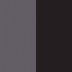 Evenflo Gold Pivot Xpand Second Seat -Baby Trend Store GUEST baa70109 c872 4dc4 be6f 7296e5119ee7