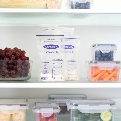 Lansinoh Breast Milk Storage Bags 8 Lansinoh Breast Milk Storage Bags - Image 6